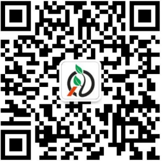 4合1搅拌棒 SC-8043